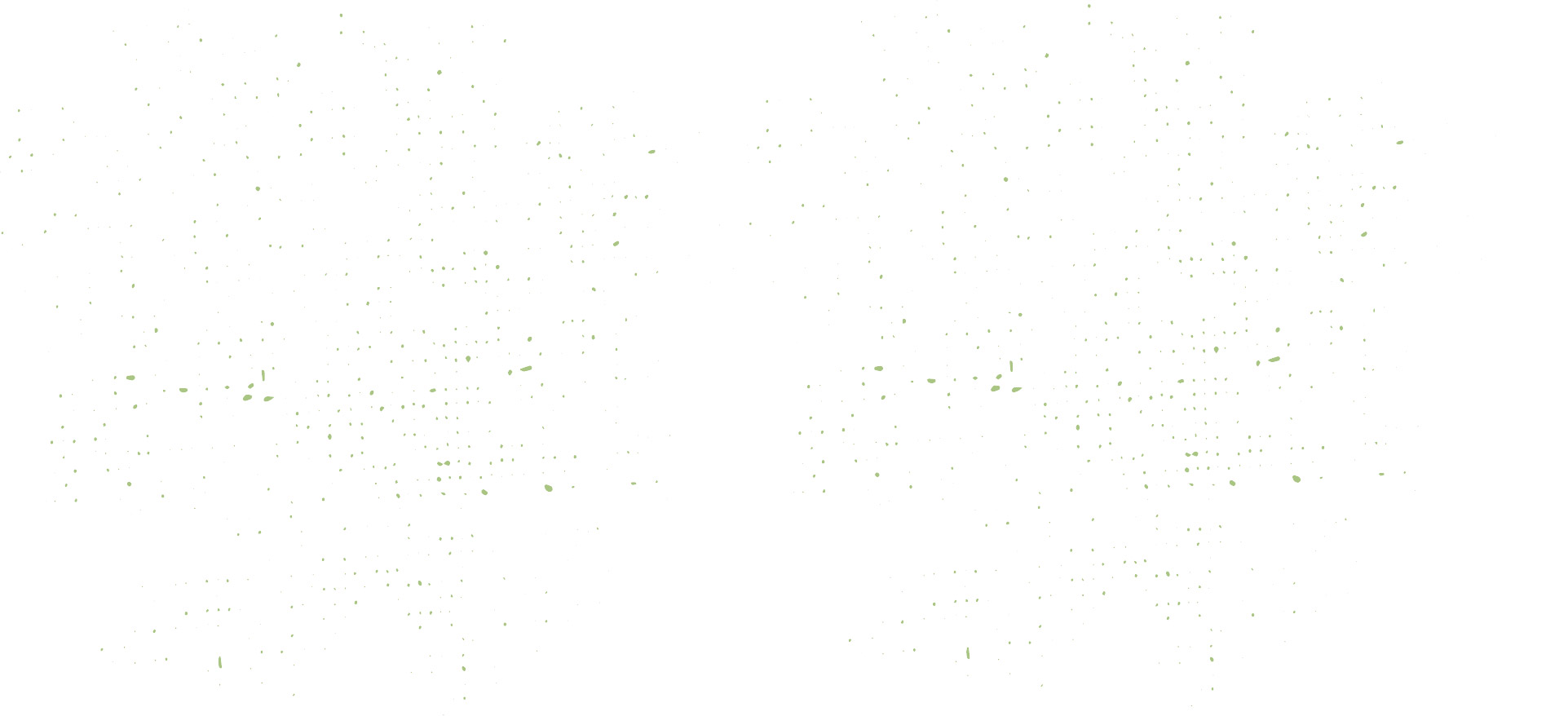 DieVeggies-Corporate-Design-Background-Dots