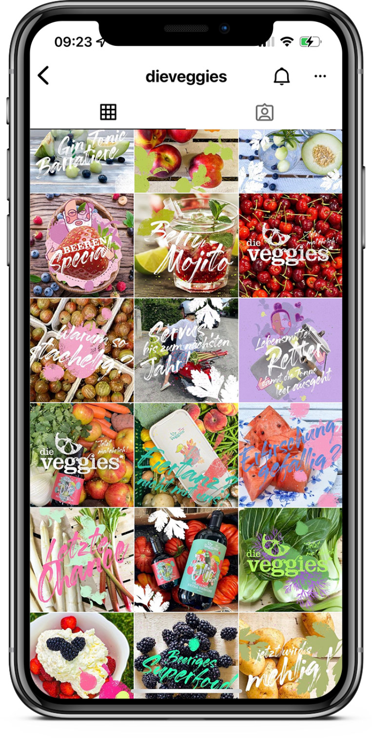 DieVeggies-Corporate-Design-Social-Media