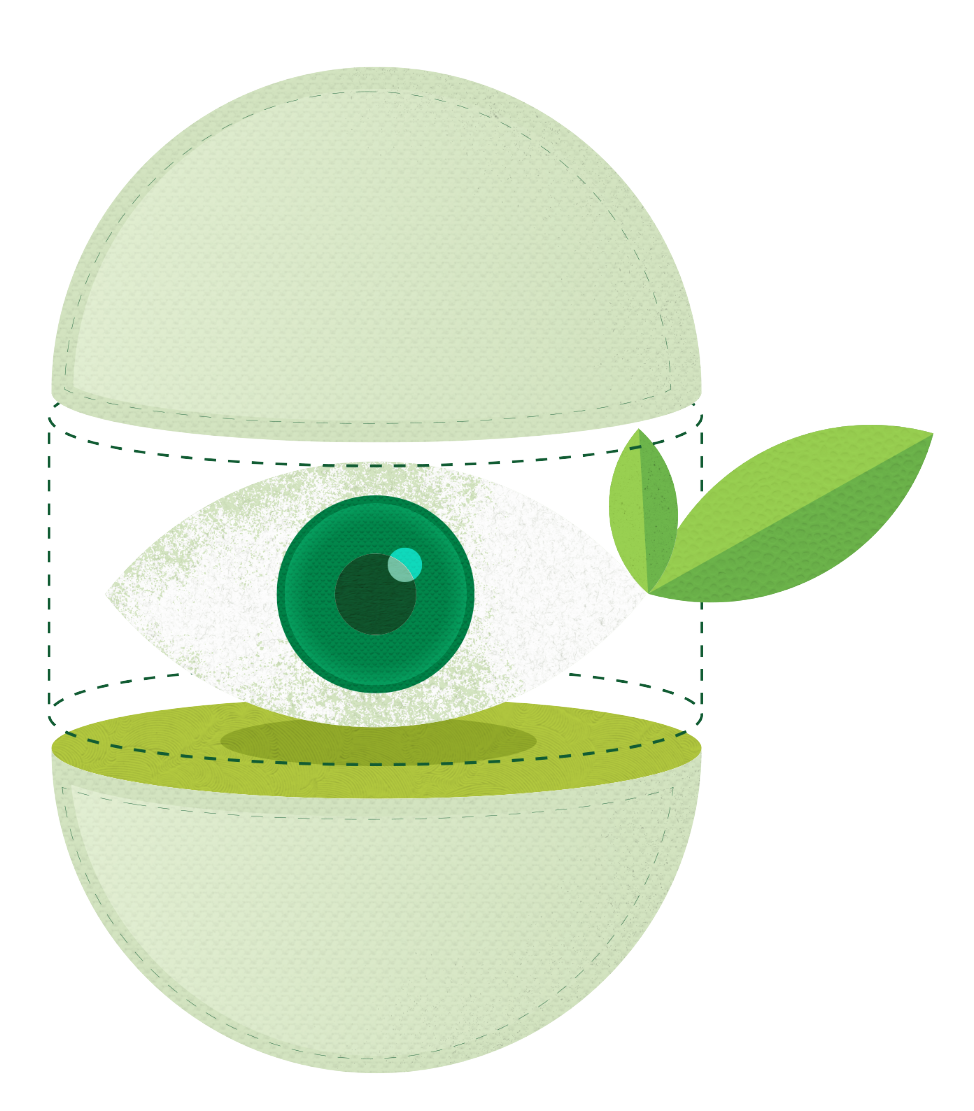Favini_Illustration_02png