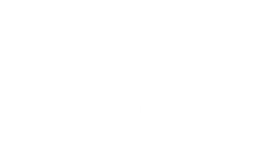 Red Dot Design Award - 2009