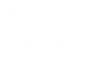 Red Dot Design Award - 2019