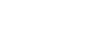 Designpreis Deutschland - 2009