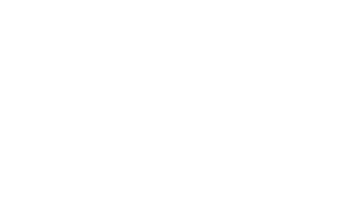 Designpreis Deutschland - 2009