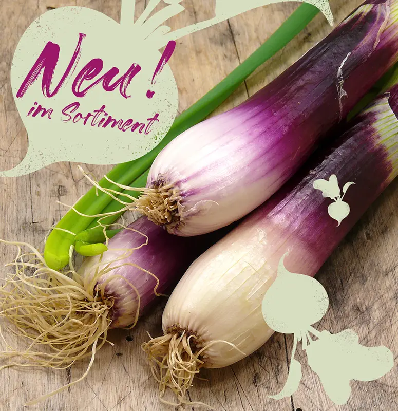 dieveggies-Corporate-Design_15 Social Media Post von den Veggies zum Thema Frühlingszwiebeln