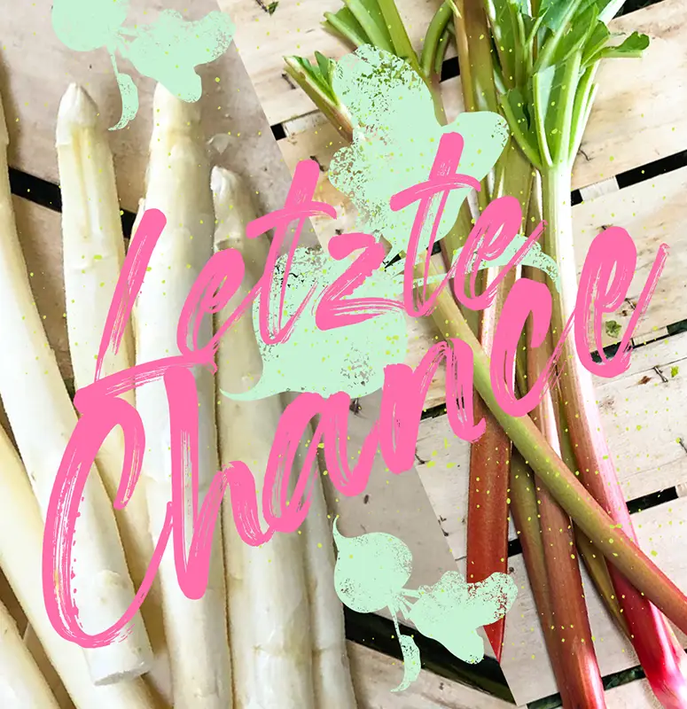 dieveggies-Corporate-Design_19 Social Media Post von den Veggies zum Thema Spargel und Rhabarber